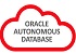Oracle       Autonomous Data Warehouse