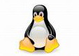   Linux:    