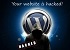      WordPress    7  -