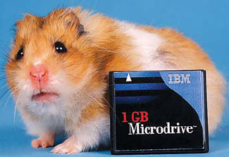 Сегодня микродрайвы размером со спичечный коробок вмещают от 1 до 6 ГБ данных. В обозримом будущем эта емкость возрастет до 20 ГБ