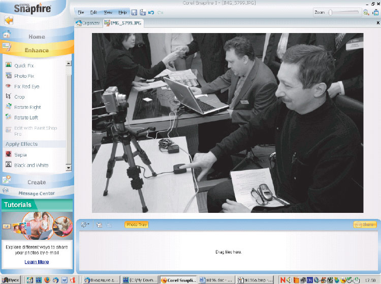 Цветную фотографию можно превратить в черно-белую одним щелчком мыши