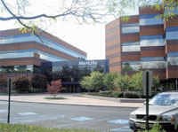 Компании MetLife, в которой насчитывается 1,5 тыс. программистов, необходимо было усовершенствовать процесс создания приложений