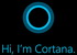 Cortana    Edge  Bing
