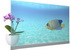 LG  27- OLED- 4- 