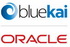 Oracle   BlueKai