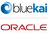 Oracle �������� �������� BlueKai