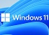 Microsoft     Windows 11    