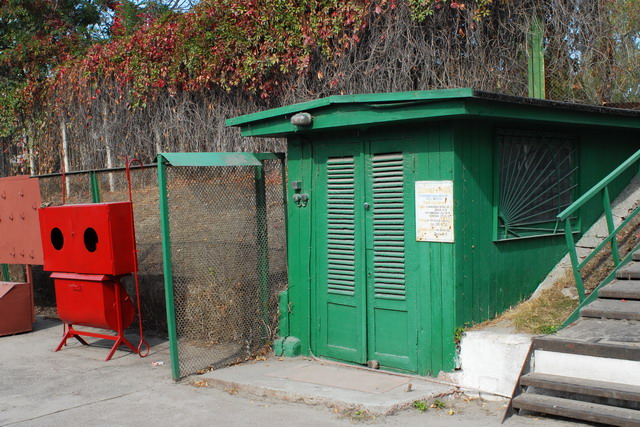   2010           