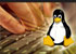  Apache Flex    , ,   Linux