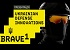 Brave1      