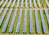 В Китае запустили крупнейшую в мире солнечную электростанцию
