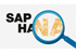 SAP должна максимально использовать фору, которую дает ей HANA