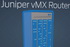 Juniper Networks представляет виртуальный маршрутизатор операторского класса